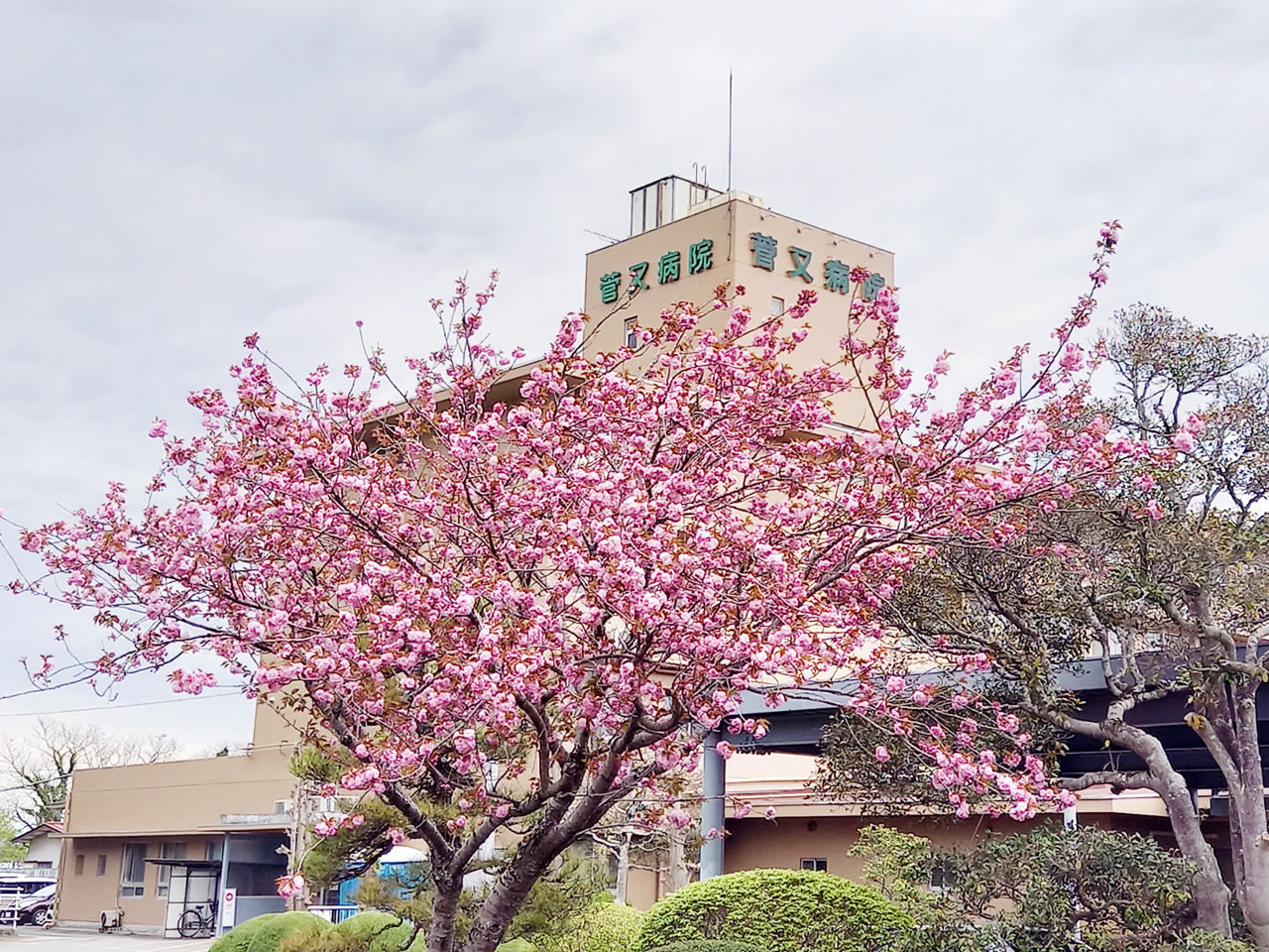 医療法人 薫会 菅又病院の看護助手 慢性期・療養型病院 正社員求人イメージ